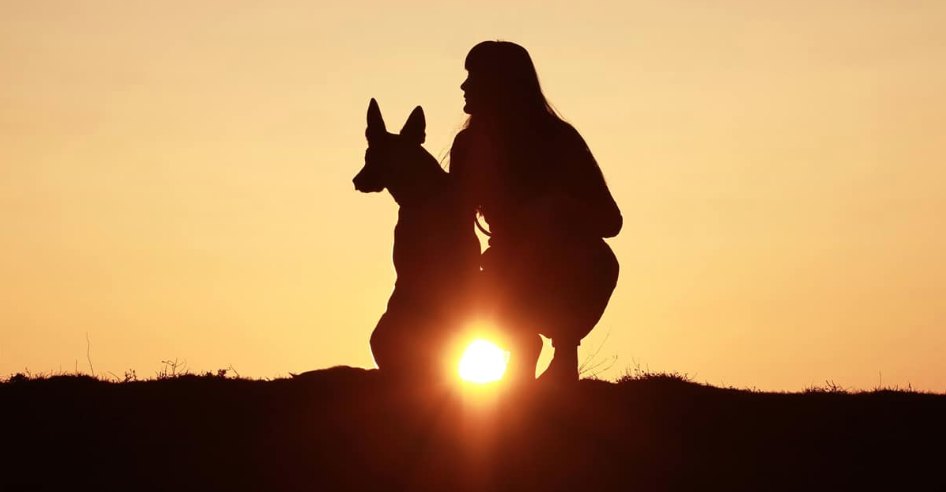 Silhouette of a woman crouching beside her dog at sunset